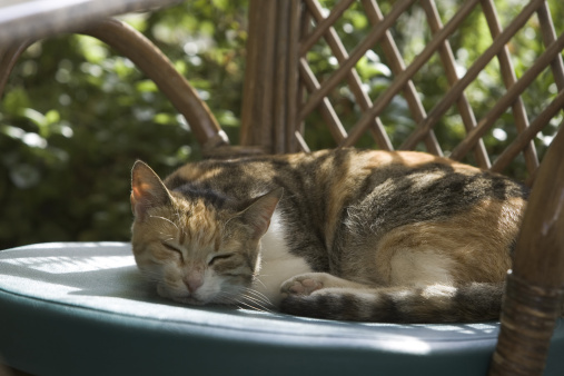 Éloge de la « sieste spirituelle »