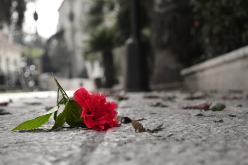 « Après l’attentat »