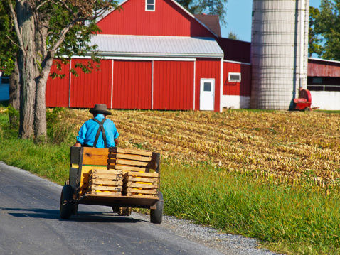 Les Amish ont-ils quelque chose à nous apprendre ?