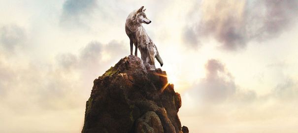Le dernier loup