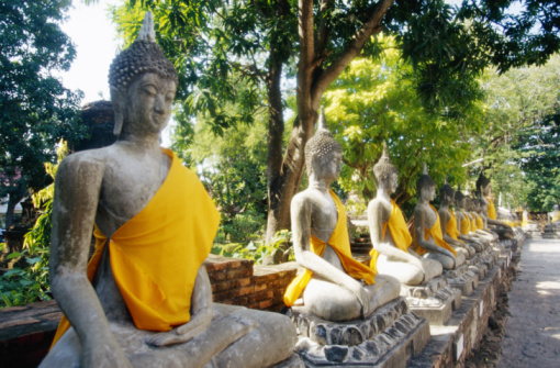 Le Bouddhisme zen – La Voie du milieu