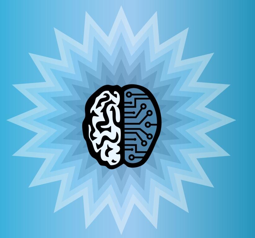 Un ordinateur à neurones ?