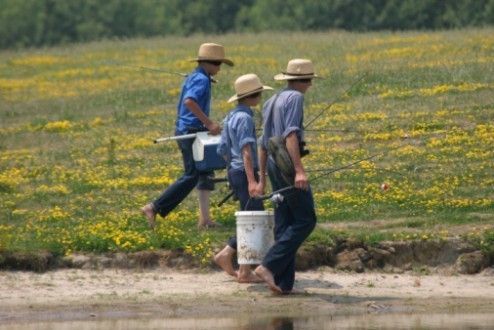 Les Amish, pacifiques et radicaux