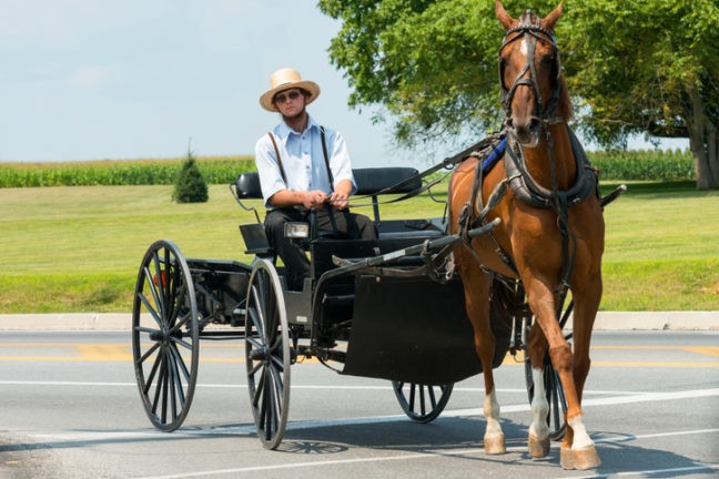 Les Amish, pacifiques et radicaux