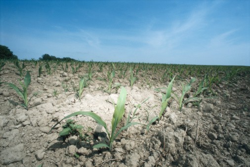 Climat : combattre le sentiment d’impuissance
