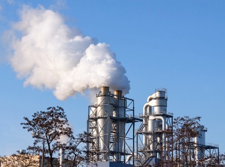 Les Eglises s’engagent pour le climat