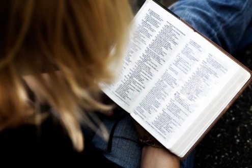 Nouveau record de distribution de Bibles