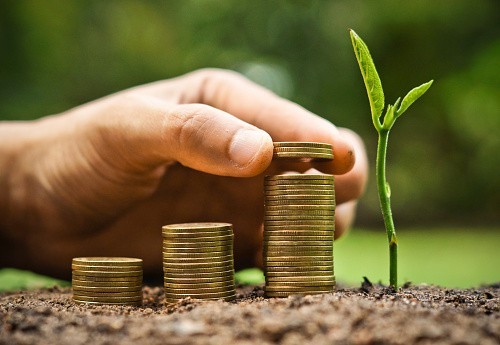 Des placements « décarbonés »