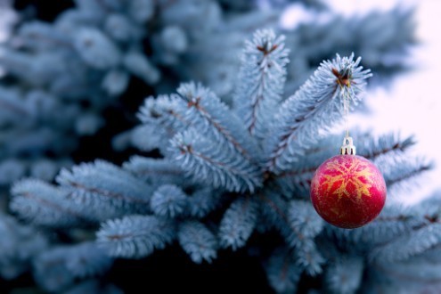 Fêter Noël dans les familles multiconfessionnelles