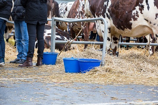 Monde agricole : ces suicides que l'on tait