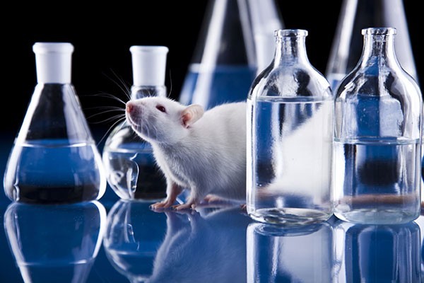 Vers la fin de l'expérimentation animale