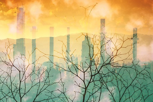 Terre créée, terre abîmée, terre promise... La FPF s'engage pour le climat !