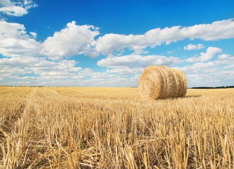 Septembre, un mois pour célébrer la Création