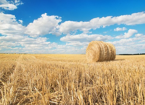Septembre, un mois pour célébrer la Création