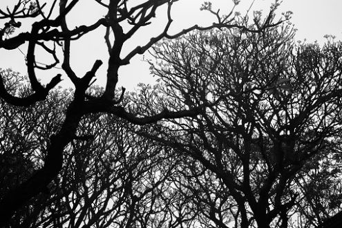 Questions de vie ou de mort