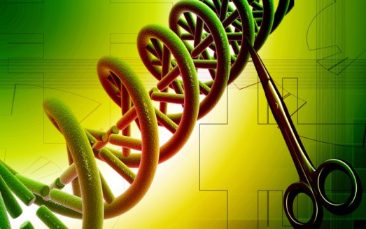 Ciseaux à ADN : entre folles espérances et craintes raisonnables…