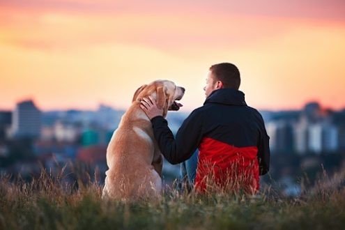 L’être humain et les animaux, bénis de Dieu