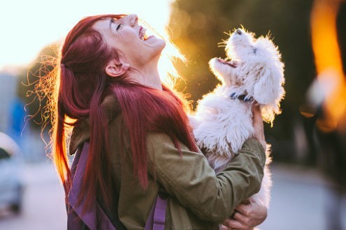 Les animaux de compagnie, un peu, passionnément, à la folie…