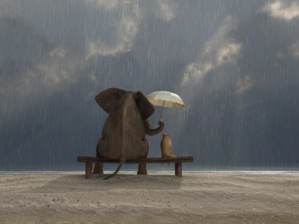 Dire Dieu : il est question d’amour