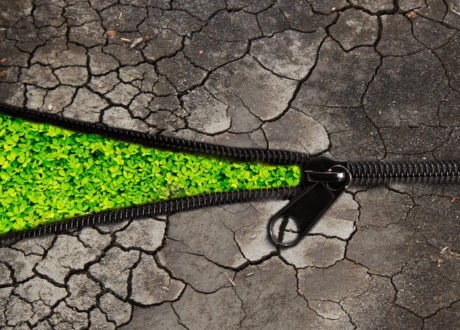Le défi de la transition écologique