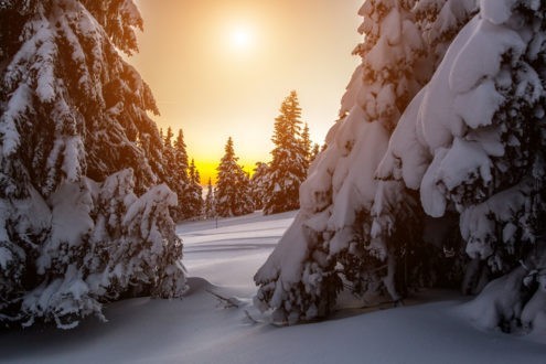 Le message de Noël, c’est de croire en un monde meilleur