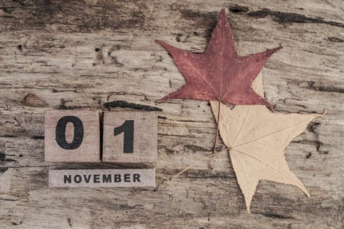 En novembre, vous avez aimé…