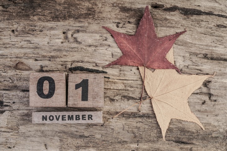 En novembre, vous avez aimé…