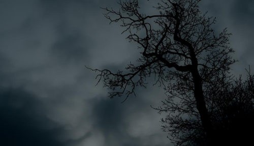 L'écologie, un défi spirituel