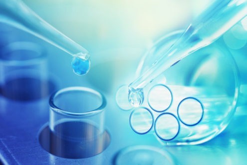 Bioéthique : les préparatifs des Etats généraux 2018