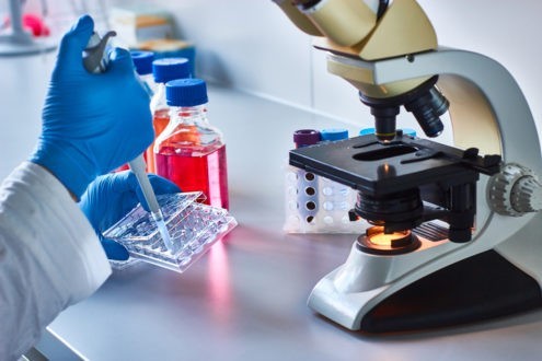 Les protestants et les questions de bioéthique