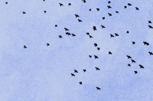 Des verticales dans l'horizon