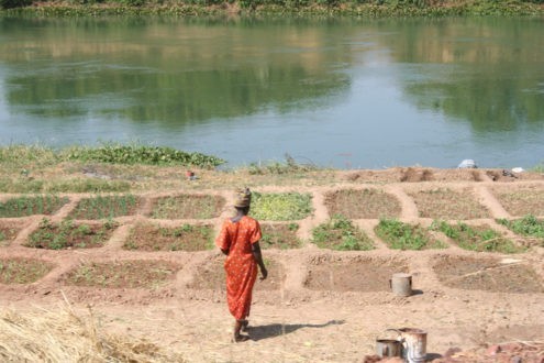 L’agroécologie, un chemin vers l’émancipation de la femme
