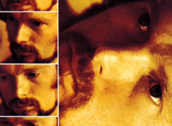 Que retenir de l’album "Moondance" de Van Morrison ?