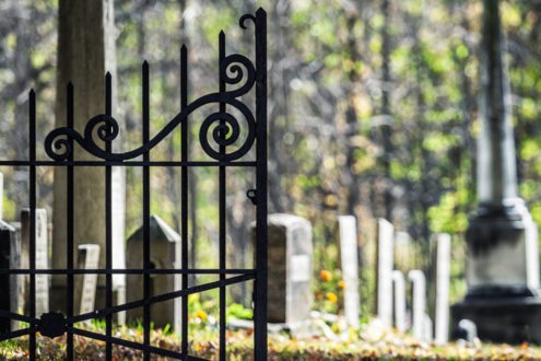 Pourquoi cherchez-vous le vivant parmi les morts ?