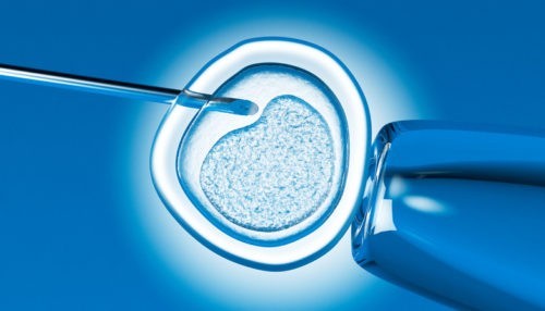 Bioéthique : quels doivent être nos repères ?