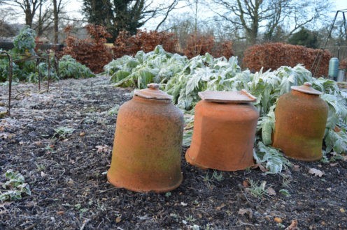 Comment s'occuper de son jardin en hiver ?
