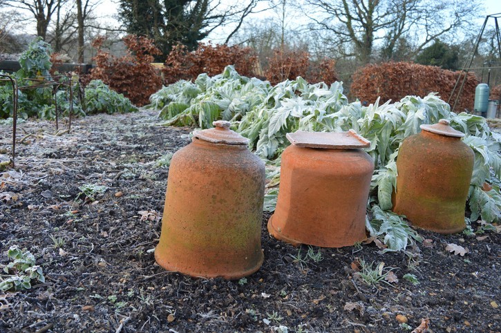 Comment s'occuper de son jardin en hiver ?