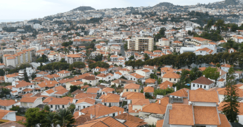 Rencontre surprenante en terre portugaise