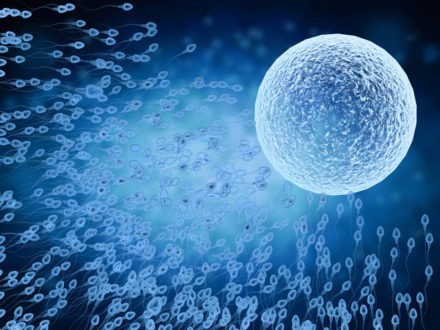 J’aime le monde dans sa complexité !