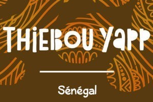 Recette d'été : le Thiebou Yapp du Sénégal