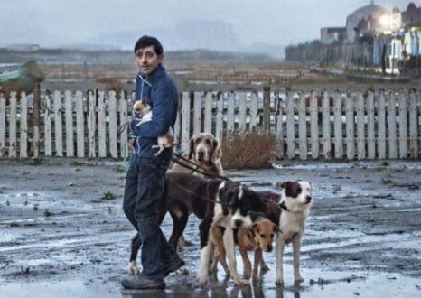 Dogman : mordant et tendre
