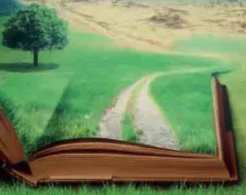 La Bible est-elle verte ?