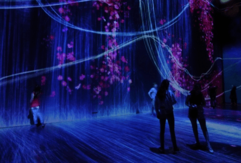 Teamlab : au-delà des limites