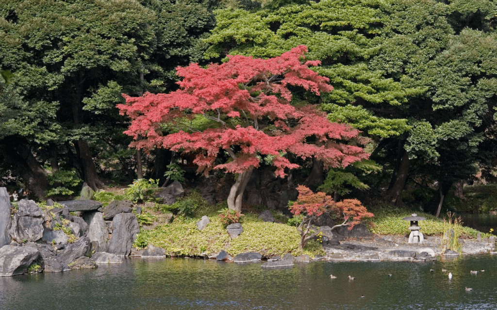 La pensée du jardin japonais