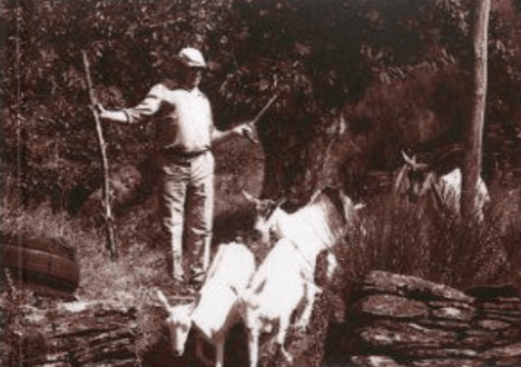 Un été en Cévennes