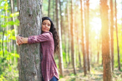 Les arbres, ces amis qui nous veulent du bien