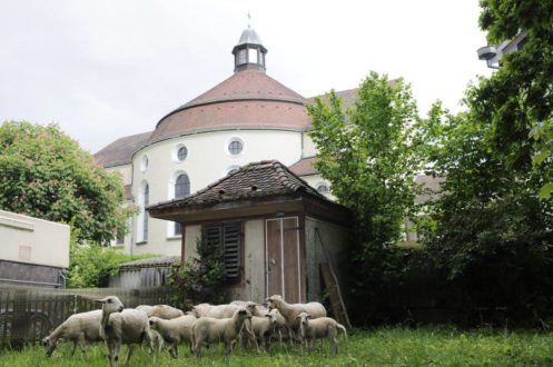 Joyeux anniversaire au label "Église verte" !