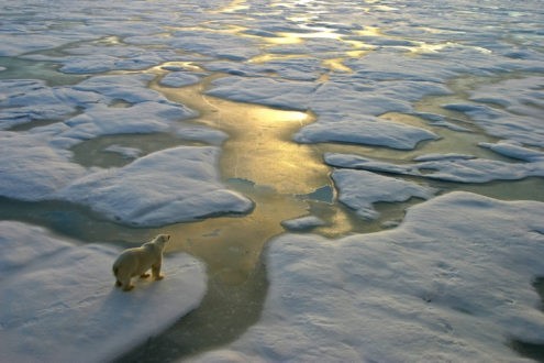 Limiter le réchauffement climatique à 1,5 °C !