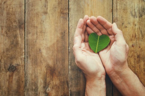 Les chrétiens doivent-ils être écologistes ?