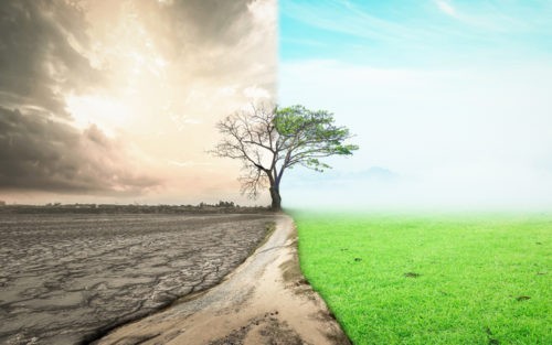 Pour une transition écologique populaire